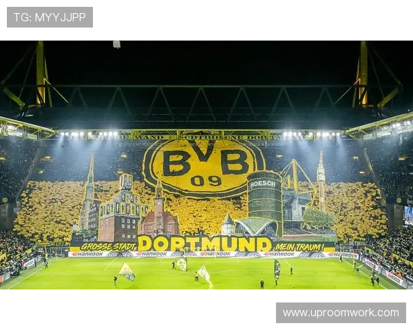 全球足球明星及其擅长位置解析与球场表现分析